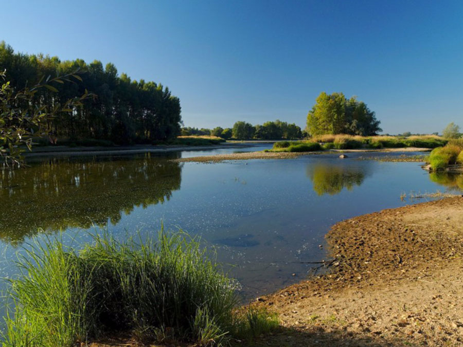 Bord de la Loire