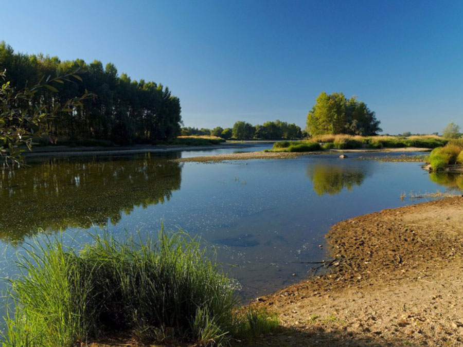 Bord de la Loire